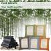 Bamboo Charcoal Air Purifying Bags - 5x200g Odor Absorber for Cars and Homes | Freshens Air, Removes Moisture, Eliminates Pet Odors - Buy Online on GoSupps.com