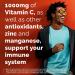 Emergen-C Zero Sugar 1000 mg Vitamin C Powder for Daily Immune Support Caffeine Free Vitamin C Supplements with Zinc and Manganese B Vitamins and Electrolytes Raspberry Lemonade Flavor - 36 Count Raspberry Lemonade 6.1 Ou  - Buy Online on GoSupps.com