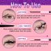 Focipeysa Fluffy Lash Clusters 100D | 10-18mm Individual D Curl Eyelash Extensions | DIY Lash Kit for Beginners | International Shipping Available - Buy Online on GoSupps.com