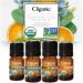 Cliganic Essential Oils Aromatherapy Set 4 Piece Set