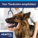 Adaptil Calm Start Set - Relaxation Solution for Dogs | Fast International Shipping - Buy Online on GoSupps.com