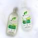  Organic Doctor Dr Bio Aloe Vera Shampoo and Conditioner Soothing All Hair Types Natural Vegan Cruelty-Free Paraben and SLS Free Recyclable and Ocean-Recycled Plastic Organic 265 ml x2 - Buy Online on GoSupps.com