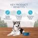 Blue Buffalo Wilderness High Protein Natural Adult Dry Dog Food - Grain-Free | Premium Nutrition - Buy Online on GoSupps.com