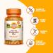 Sundown Naturals Echinacea 400 mg - 100 Whole Herb Capsules for Immune Support - Buy Online on GoSupps.com