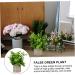 Zerodeko 5 Pcs Simulated Potted Plant Artificial Bonsai Small Greenery Decor Mini Fake Plant Fake Plant Decor Plastic Plant Pots Artificial Flower Pulp Potted Plants Green Plants As Shownx5pcs 22x8cmx5pcs - Buy Online on GoSupps.com