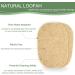 Natural Scrub Loofah Sponges - Biodegradable & Compostable Kitchen & Bathroom Cleaning - 6 Pack - Buy Online on GoSupps.com