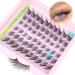 ALICE Natural Lash Clusters - DIY Eyelash Extensions | Wispy 3D Cat Eye C Curl Individual Lashes - Buy Online on GoSupps.com