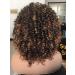 Annivia Short Curly Wig for Black Women with Bangs | Soft Synthetic 2Tone Ombre Darkest Brown Afro Wig - Buy Online on GoSupps.com