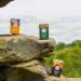 Taylors Coffee Bags Bundle | 2 X 10 Rich Italian Coffee Bags 2 X 10 Hot Lava Java Coffee Bags and 2 X 10 Flying Start Coffee Bags | 60 Coffee Bags Individually Wrapped - Buy Online on GoSupps.com