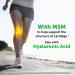 Schiff Glucosamine 1500mg MSM Hyaluronic Acid 300 Tablets - Joint Supplement Pack - Buy Online on GoSupps.com
