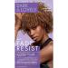 Dark and Lovely Fade Resistant Rich Conditioning Color No. 380 Chestnut Blonde 1 ea