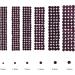 Jollin 3456pcs Flatback Rhinestones Glass Charms Diamantes Gems Stones for Nail Art 6 Size ss4 ss12 Amethyst - Buy Online on GoSupps.com