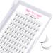 Pre Made Fan Eyelash Extensions 5D-D-0.10-13 Pointy Base Premade Fans Eyelash Extension 0.05 0.07 0.10 Lash Extensions Pre Fanned Russian Volume Lashes C D curl(5D-D-0.10-13) 13 mm 5D-D-0.10-DM