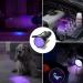Retoo UV Black Light Flashlight | Spot Dried Stains & Detect Fake Currency | Ideal for Pets & Home Use - Buy Online on GoSupps.com