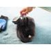 7-Part Animal Care Set | Schillerglanz Sparset - Claw Scissors Fur Brush Tick Pliers & More for Dogs Cats & Small Animals - Buy Online on GoSupps.com