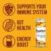 Humm Whole30 Approved Probiotic Kombucha Variety Pack - 2 Billion Probiotics - Organic, Vegan & GMO-Free - No Added Sugar (12 Pack) - Buy Online on GoSupps.com