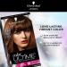 Schwarzkopf Color Ultime 5.24 Cinnamon Brown Hair Color Cream - Permanent Formula - Buy Online on GoSupps.com