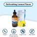 SBR Nutrition MAX Absorption Liquid L-Theanine Drops | All Natural Vegan Alcohol Free Non-GMO | For Stress Relief Relaxation Focus Without Drowsiness | Synergistic With Coffee Or Caffeine - Buy Online on GoSupps.com
