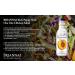 BRIANNAS Home Style Rich Poppy Seed Salad Dressing - Gluten Free, Vegan, Kosher - 12 Fl Oz (2 Pack) - Buy Online on GoSupps.com
