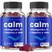 NutraChamps Calm Gummies, Stress Gummies Supplement with Ashwagandha, L-Theanine, GABA, Vitamin B6 & Lemon Balm, 90 Gummies (Pack of 2) 90 Count (Pack of 2)