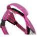 Julius-K9 IDC Color & Gray Belt Harness XS/Mini-Mini Pink-Gray - Best Price & Quality - Buy Online on GoSupps.com