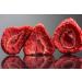  TASTY POTT Tasty Pott Freeze-Dried Strawberry Slices | Fruit Snack | Strawberries | Vegan Food | Dried Fruit | Dried Fruit | Berries | Strawberry | 350g Bag - Buy Online on GoSupps.com