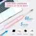 BIUSIKAN Sonic Electric Toothbrush - USB Rechargeable with 4 Brush Heads, 6 Modes & Smart Timer for Adults - Pink - Buy Online on GoSupps.com