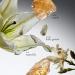 philosophy pure grace eau de toilette - crisp & clean women's perfume - with notes of water lily leafy greens & musk - long lasting fragrance 4 Ounce (Pack of 1) - Buy Online on GoSupps.com