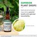 NutraMedix Noni Plant Drops - Immune System Support with Mulberry Extract - 1oz Liquid - Buy Online on GoSupps.com
