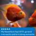API General Cure 30-Ounce Bulk Box Fish Medication - For Freshwater and Saltwater Fish - Buy Online on GoSupps.com