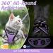 Rabbitgoo Cat Dishes Set - Stylish Cat Linen with Leash | Perfect for Cats | International Shipping - Buy Online on GoSupps.com