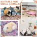 Buy NAMALU 4 Waterproof Guinea Pig Fleeced Ceiling - Absorbent Small Dog Blanket & Reusable Pipi Pads (Paw Pattern 60x40 cm) for Cozy Cages - Buy Online on GoSupps.com