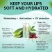Caribbean Breeze Sunscreen Lip Balm SPF 50 0.15 oz (Pack of 4) SPF Lip Balm for Men & Women with Coconut Oil Green Tea Pomegranate & Aloe Extracts - Buy Online on GoSupps.com