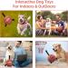 Hetoo Interactive Dog Toys - Basketball Tug-of-War Durable Balls & Puppy Gift for Small to Medium Dogs - Buy Online on GoSupps.com
