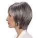 Lofty Wig Sabine - Premium Synthetic Hair Wig in Slate with Light Streaks | Realistic Look - Buy Online on GoSupps.com