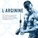 Applied Nutrition L-Arginine Capsules - 1500mg High Strength Nitric Oxide Booster - 60 Servings | Workout Performance Boost - Buy Online on GoSupps.com