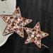 amangul Rhinestones Star Hair Clip Star Hair Accessories Star Barrettes Star Hairpin Crystal Star Hair Clip Hair Bangs Clip(Bright Black) - Buy Online on GoSupps.com