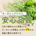 Poudre de matcha th vert japonais 30 g qualit c r monielle utilisation pour latte cuisine YAMAEI - Buy Online on GoSupps.com