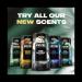 AXE Fine Fragrance Collection Deodorant Stick Pure Coconut 4 count with 48H Freshness and Odor Protection Deo Stick Infused with Coconut Eucalyptus and Oak Essential Oils 2.6 oz - Buy Online on GoSupps.com