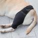 Hip Brace for Dogs Flexible Hip Brace for Dogs Dog Hip Joint Brace Provides Support and Comfort Without Compromising The Dog's Mobility Kot-au Black Small - Buy Online on GoSupps.com