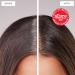 dpHUE Root Touch-up Kit Medium Brown - Two Applications - Permanent Gray Hair Touch Up & Root Cover Up Solution - Low Ammonia Salon-Quality Creme Hair Colour - Made in Italy - Buy Online on GoSupps.com