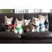 Puppia Dog Harness for Small & Medium Dogs | Soft Vest in Multiple Colors | Versatile Puppy Dish - Buy Online on GoSupps.com