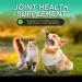 Only One Treats Green Lipped Mussel Powder Hip and Joint Supplement for Dogs and Cats Natural Pet Treats with Glucosamine to Improve Pet Mobility Cardiovascular and Immune Health (500 g) - Buy Online on GoSupps.com