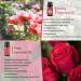 yethious Organic Rose & Peony Essential Oil Set - 2x10ML for Diffuser Skincare & Candle Making - Natural Floral Oils Gift - Buy Online on GoSupps.com