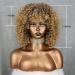 Xinran 14 Blonde Curly Afro Wig for Black Women - Brown to Blonde Mix - Synthetic 70s Kinky Afro Wig - Buy Online on GoSupps.com