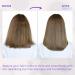 Buy Tea Tree Shampoo and Conditioner 11oz - Nourish & Revitalize Hair | International Shipping - Buy Online on GoSupps.com