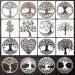 Tree of Life Stencil Set - 12pcs 5.9in Tree Stencils for Painting on Wood, Airbrush, Canvas - DIY Art and Decorations - Buy Online on GoSupps.com