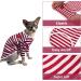 Warm Cotton Sweater for Sphynx Cats | Soft Red Striped Jumper for Small Dogs | XS Cat Costume - Buy Online on GoSupps.com