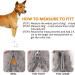 HAPPY HACHI Half Check Dog Collar | Martingale Collar for Medium to Large Dogs | Training and Walking Collar | Silver, Size S 30-43cm - Buy Online on GoSupps.com