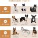 Nobleguard Halskrause Dog Collar - Adjustable Lick Protection | Robust Breathable Easy to Clean | Perfect for All Breeds | Soft & Stable Recovery Support - Buy Online on GoSupps.com
